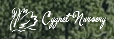 Cygnet Nursery