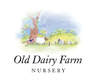 Old Dairy Farm Nursery