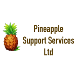 Pineapple Support Services