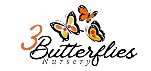 3 Butterflies Nursery